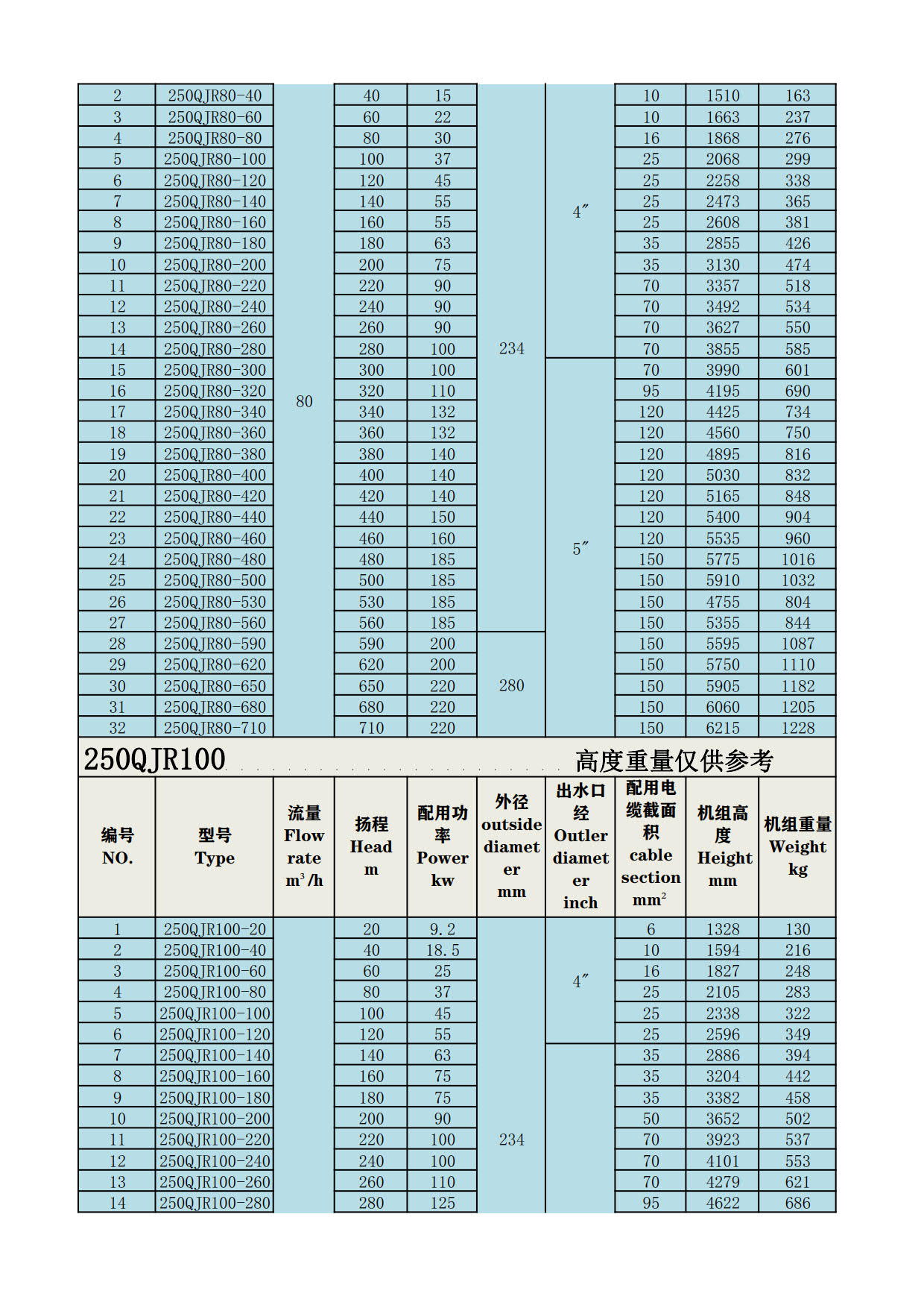 250QJR深井泵_2.jpg